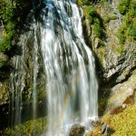 Mount_Rainier_National_Park (24)